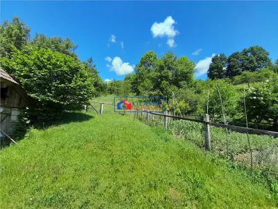 Vanzare casa cu anexe si 5500 mp teren, Valea Ariesului, Salciua - foto 10