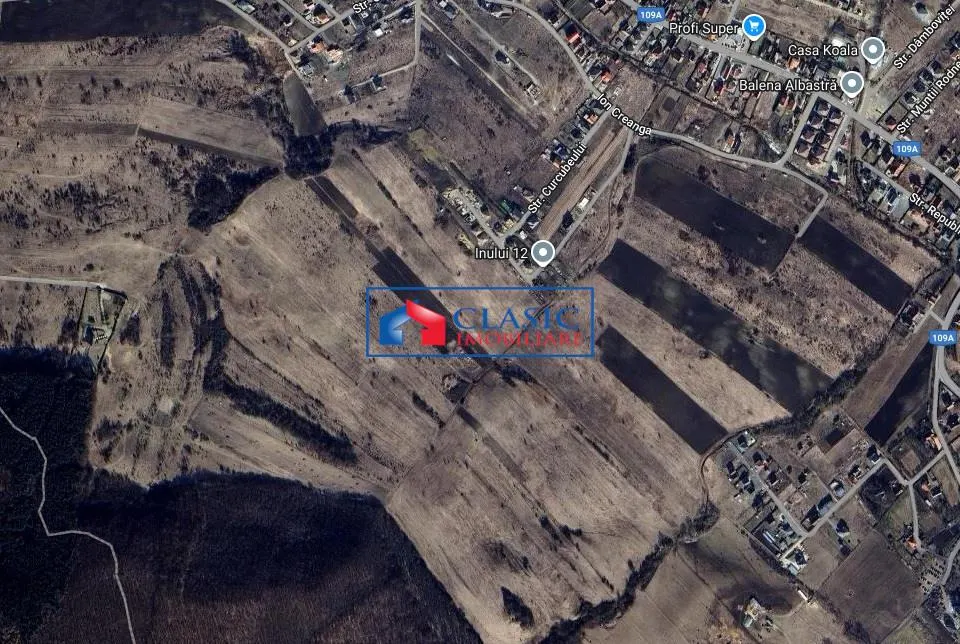 Vanzare teren extravilan Chinteni aproape de liziera padurii zona in dezvoltare - foto 1
