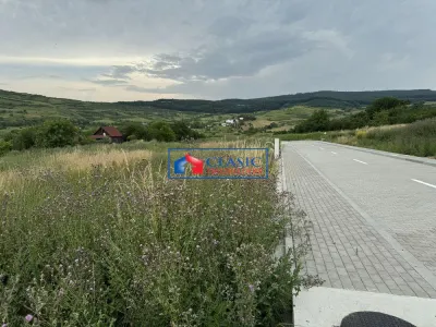 Vanzare teren autorizat pentru casa individuala, zona Borhanci - foto 6