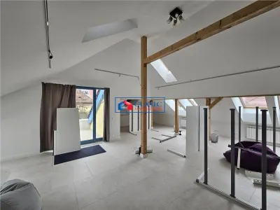 Inchiriere cladire interbelica modernizata integral, Cartier Andrei Muresanu - foto 12