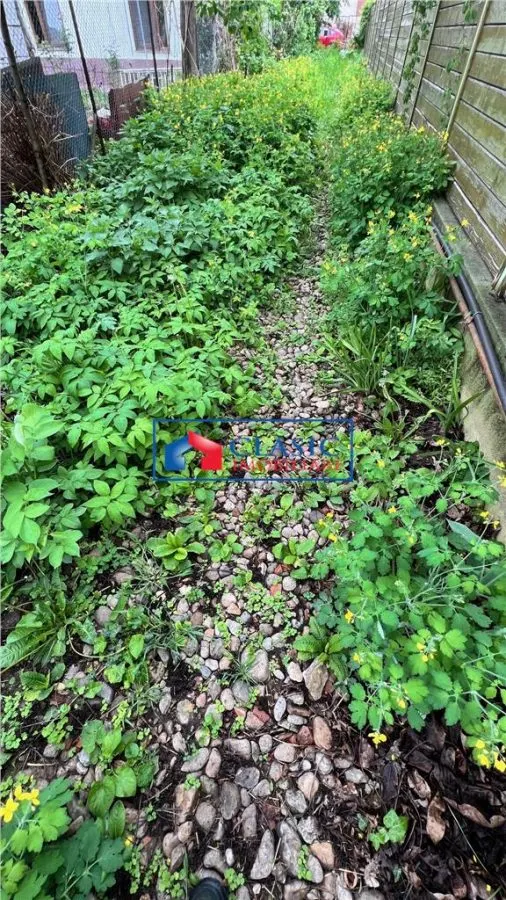 Vanzare casa individuala cu teren de 622 mp in Grigorescu zona Piata 14 Iulie - foto 9