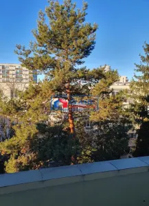Vanzare apartament 3 camere decomandate in Manastur zona Piata Flora - foto 9