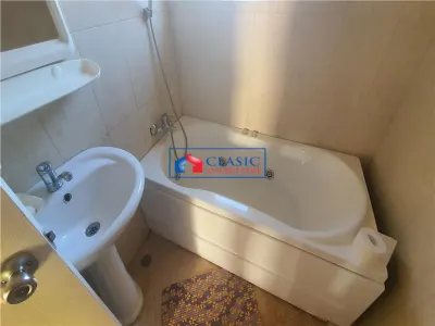 Inchiriere casa individuala, 3 dormitoare, garaj, loc de parcare, zona Europa - foto 8