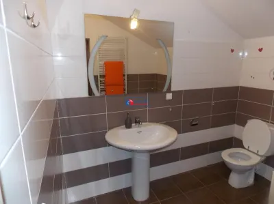 Vanzare casa individuala zona Borhanci, partial mobilata, acces cu bariera, Cluj-Napoca - foto 15
