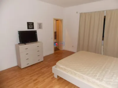 Vanzare casa individuala zona Borhanci, partial mobilata, acces cu bariera, Cluj-Napoca - foto 10