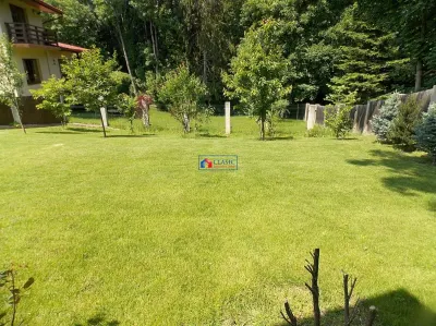 Vanzare casa individuala, Zorilor, zona retrasa in apropiere de Gradina Botanica, Cluj-Napoca - foto 15