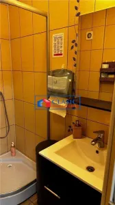 Inchiriere spatiu comercial 67 mp si terasa de 40 in Buna Ziua - foto 5