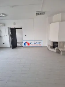 Vanzare vila zona Gradinii Botanice, strada Republicii, Cluj-Napoca - foto 8