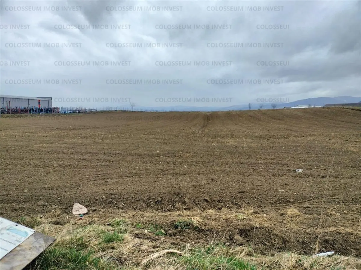 Teren industrial - zona Darste - foto 1