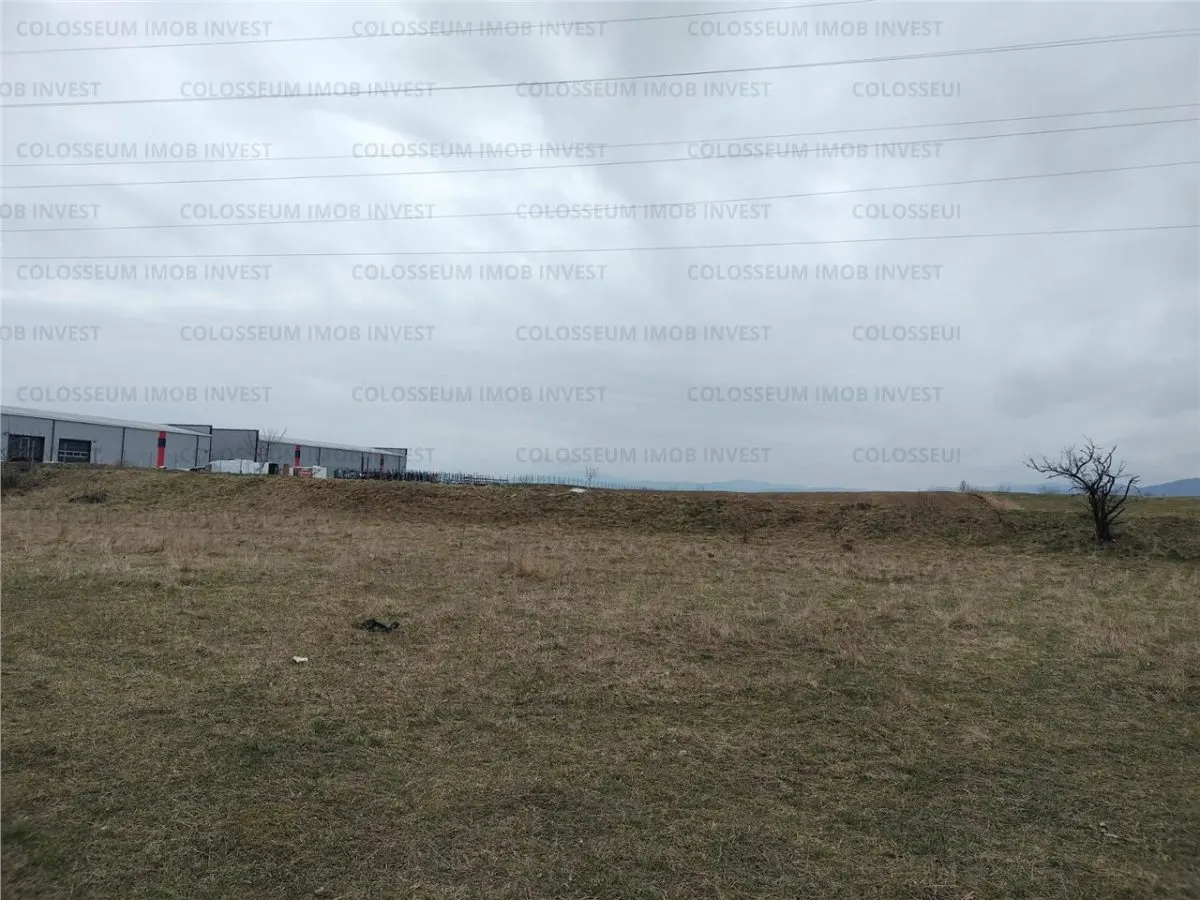Teren industrial - zona Darste - foto 2