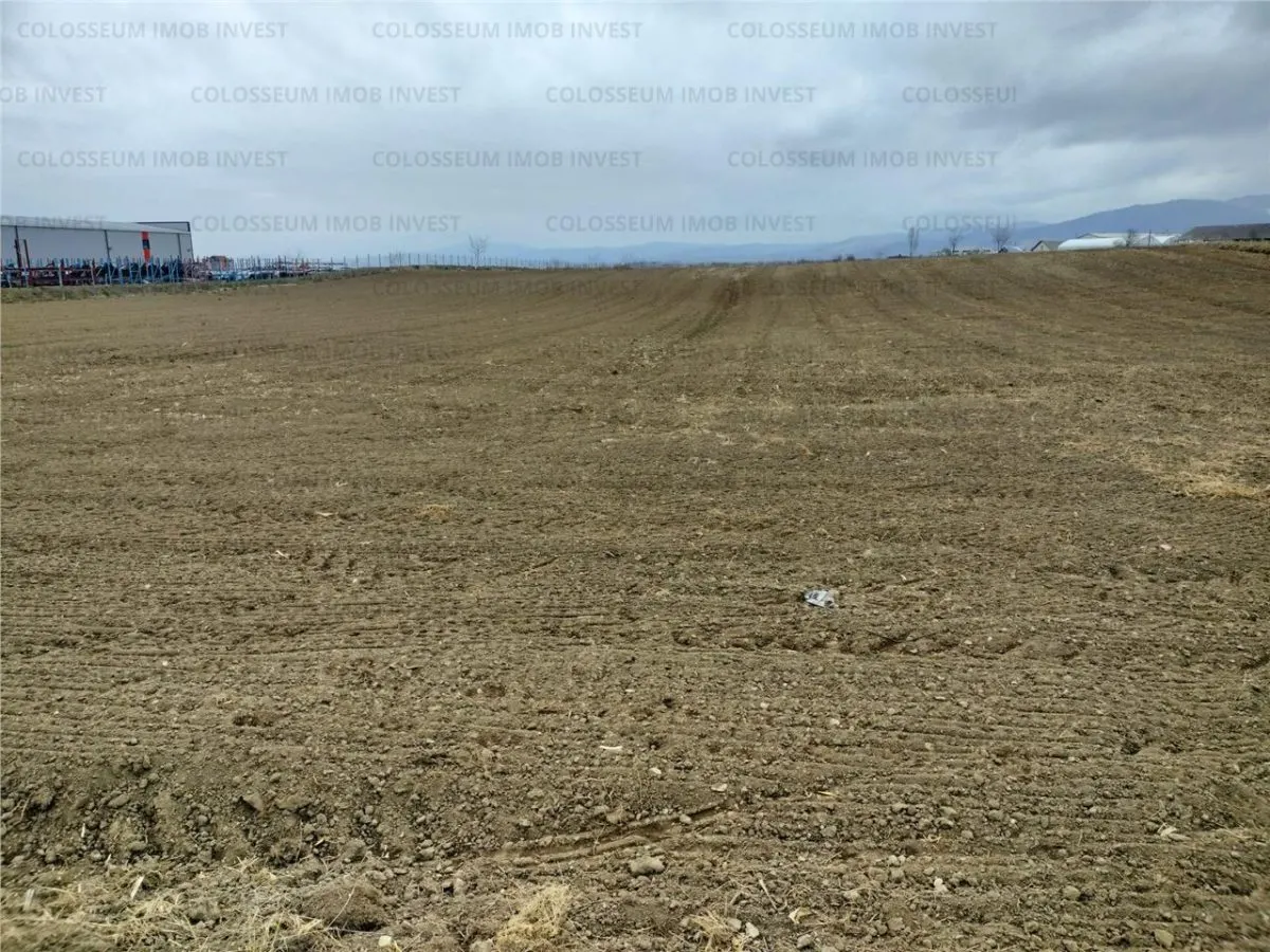 Teren industrial - zona Darste - foto 3