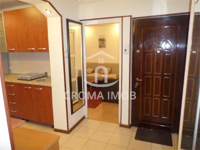 Inchiriere apartament 2 camere in Ploiesti, zona Paltinis - foto 5