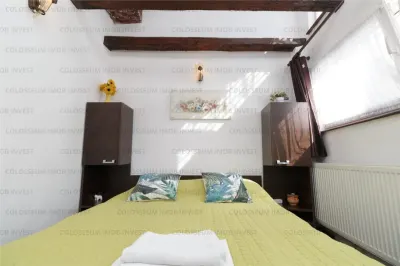 Comision 0%  Apartament 2 camere - zona Centru Istoric - foto 9