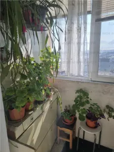 Apartament 2 camere, circular - zona Astra - foto 9