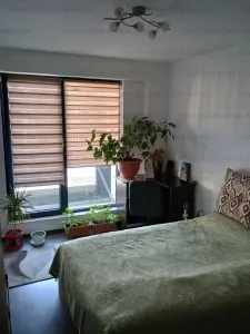 Apartament cu 2 camere, open space - zona Sanpetru - foto 3