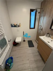 Vanzare casa 3 camere, 2 bai, curte 300 mp, Parc Bazilescu, renovata integral - foto 8