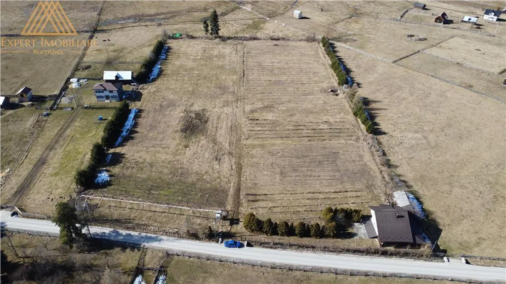 Pepiniera in Bucovina  cu teren 2 hectare - foto 2