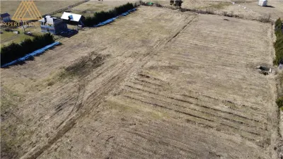 Pepiniera in Bucovina  cu teren 2 hectare - foto 6