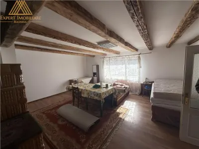 Pepiniera in Bucovina  cu teren 2 hectare - foto 9