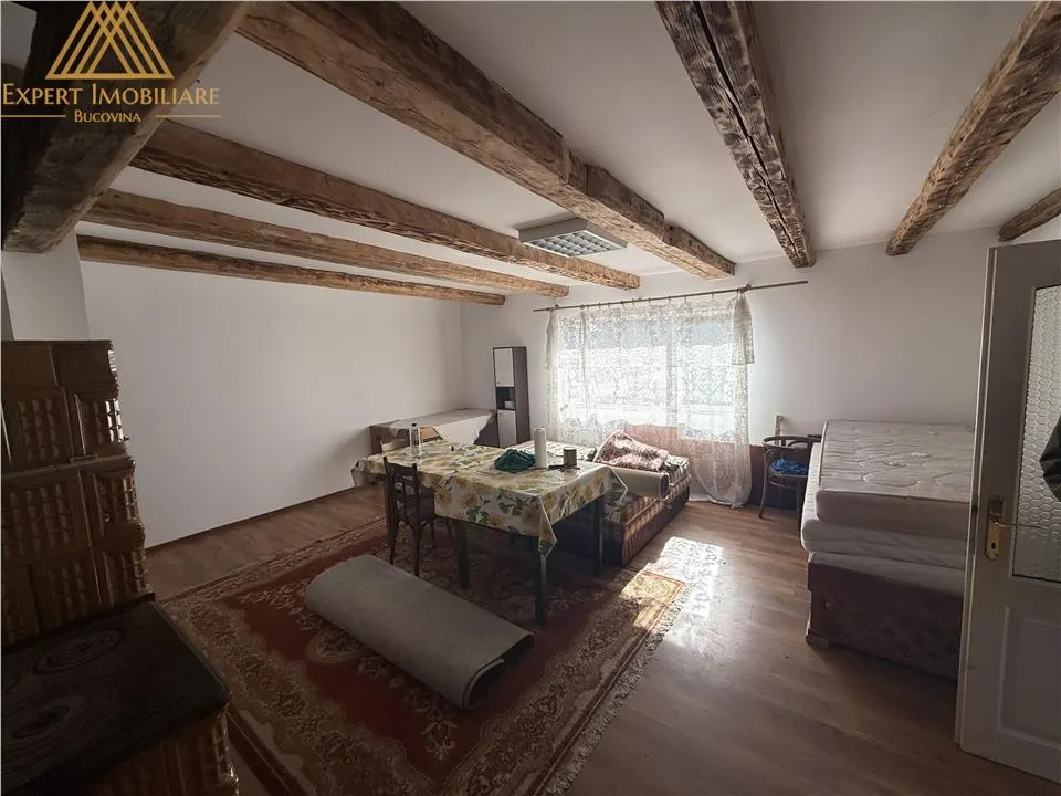 Pepiniera in Bucovina  cu teren 2 hectare - foto 9