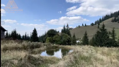 3 Hectare teren in varf de munte  si 2 cabane pe traseul Via Transilvanica - Vatra Dornei