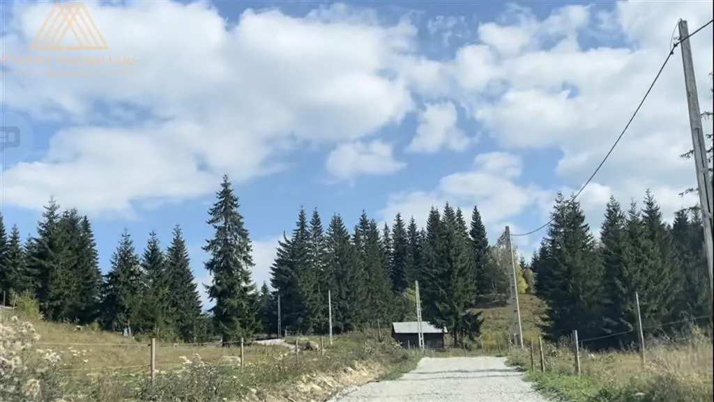 3 Hectare teren in varf de munte  si 2 cabane pe traseul Via Transilvanica - foto 4
