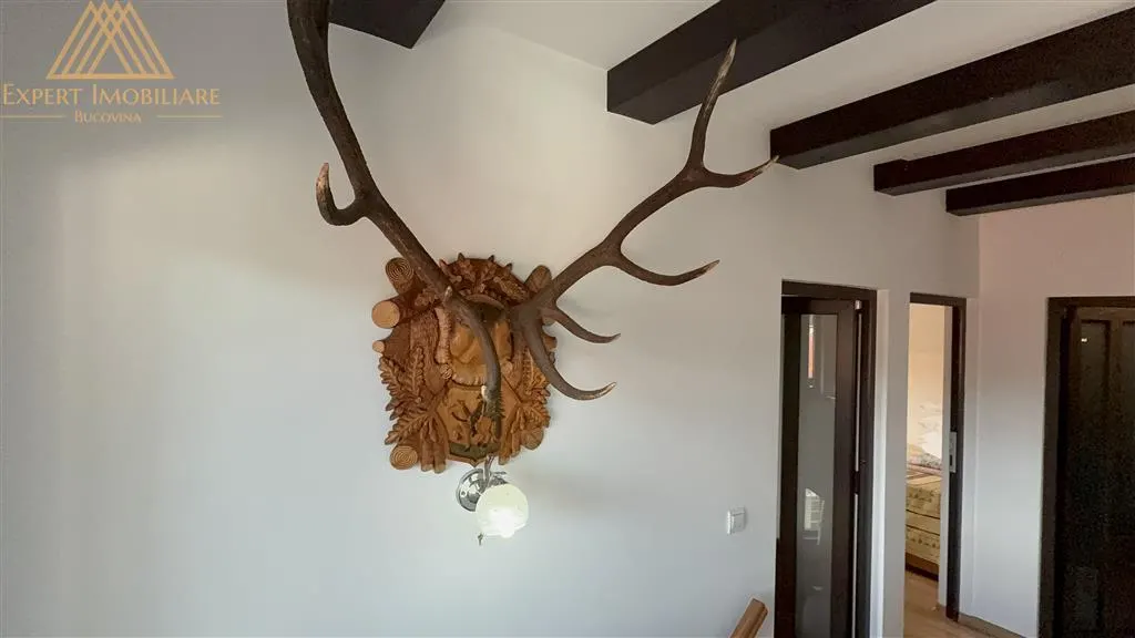 Casa Alex o casa in Bucovina - foto 19