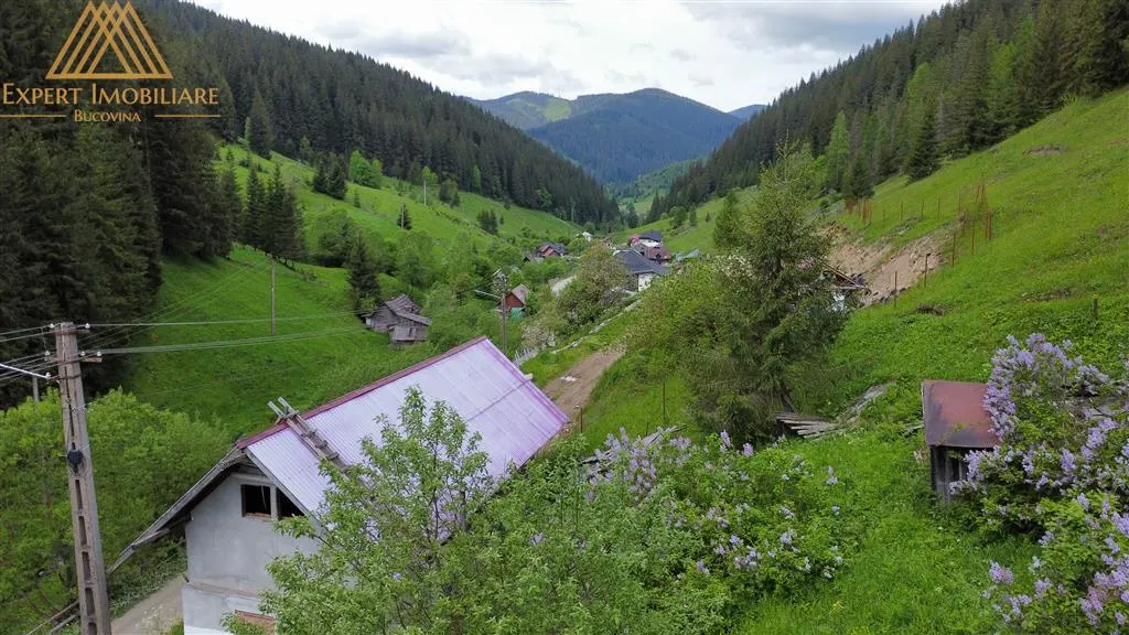 Teren cabana intr-un satuc din Bucovina cu toate utilitati - foto 1