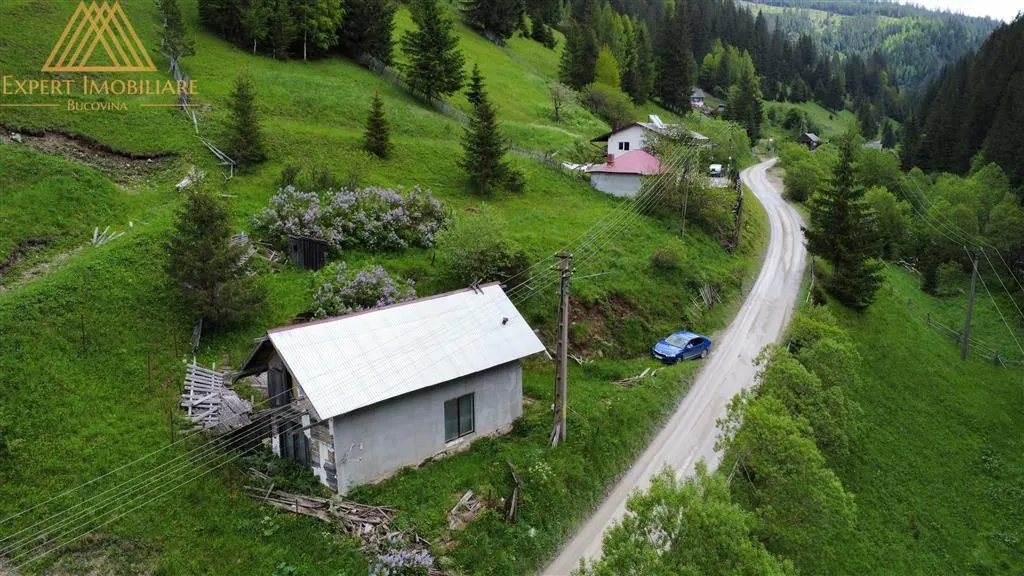 Teren cabana intr-un satuc din Bucovina cu toate utilitati - foto 11