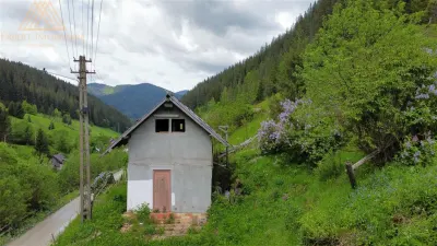 Teren cabana intr-un satuc din Bucovina cu toate utilitati - foto 3