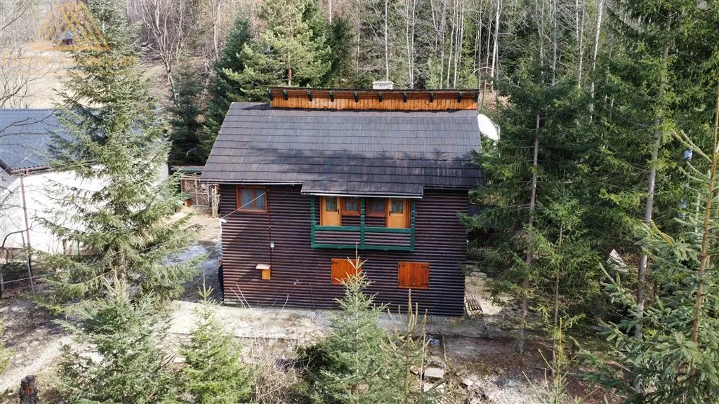Cabana Vanatorului, sursa de apa, lemne, parau pe proprietate, fantana - foto 1