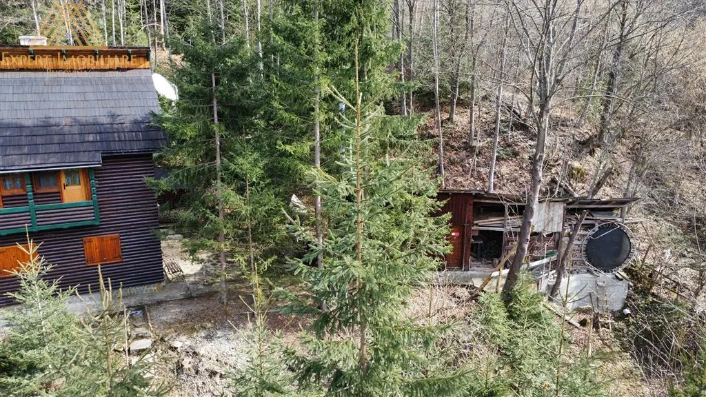 Cabana Vanatorului, sursa de apa, lemne, parau pe proprietate, fantana - foto 2