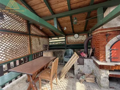 Cabana Vanatorului, sursa de apa, lemne, parau pe proprietate, fantana - foto 11
