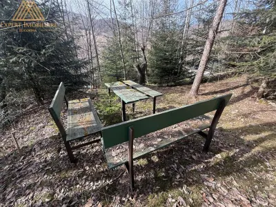Cabana Vanatorului, sursa de apa, lemne, parau pe proprietate, fantana - foto 12