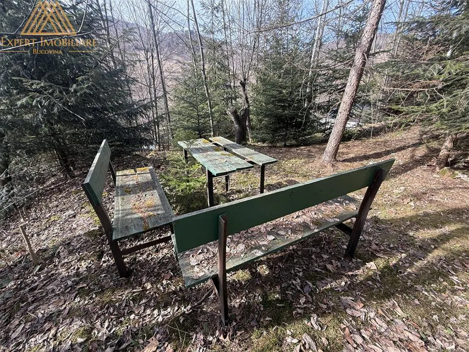 Cabana Vanatorului, sursa de apa, lemne, parau pe proprietate, fantana - foto 12