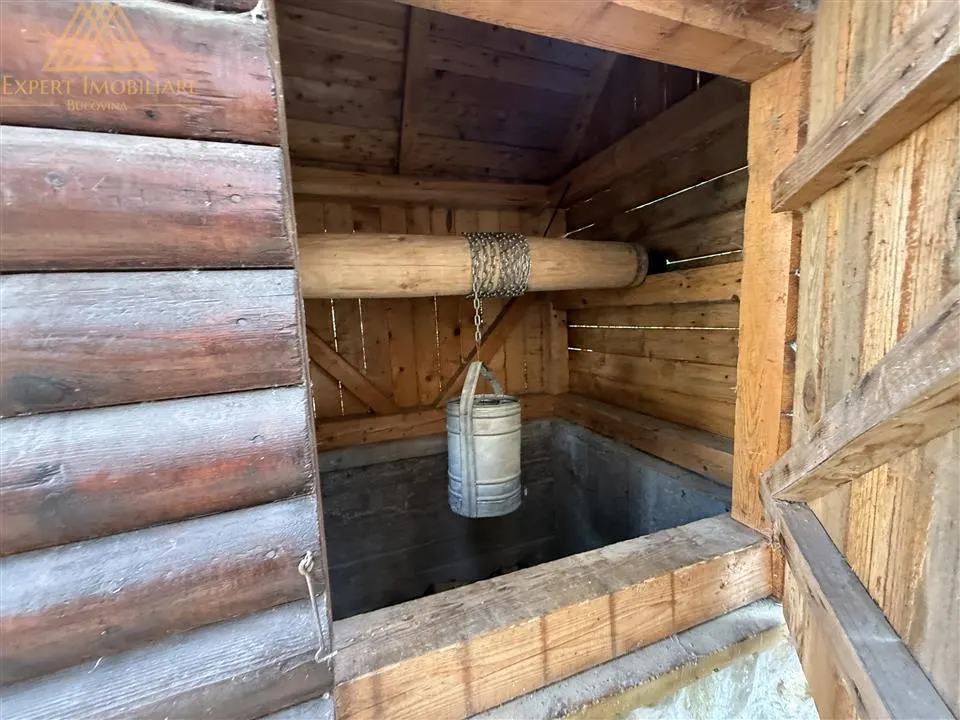 Cabana Vanatorului, sursa de apa, lemne, parau pe proprietate, fantana - foto 13