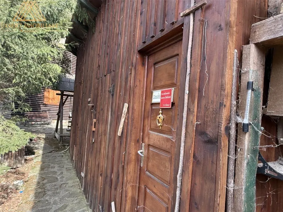 Cabana Vanatorului, sursa de apa, lemne, parau pe proprietate, fantana - foto 15