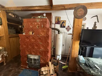 Cabana Vanatorului, sursa de apa, lemne, parau pe proprietate, fantana - foto 19