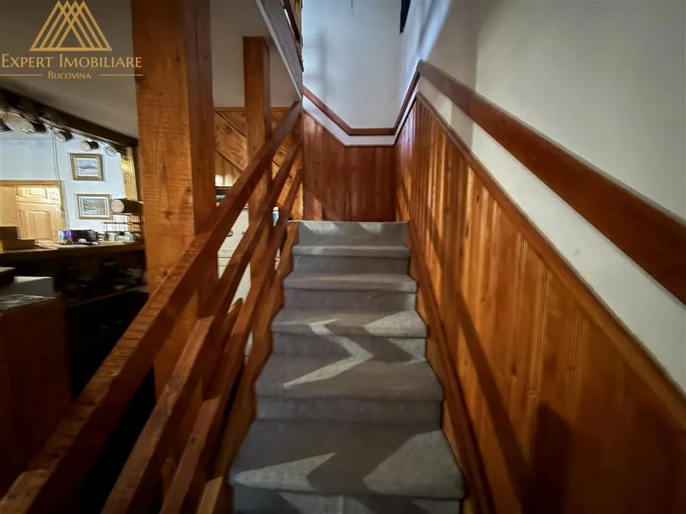 Cabana Vanatorului, sursa de apa, lemne, parau pe proprietate, fantana - foto 21