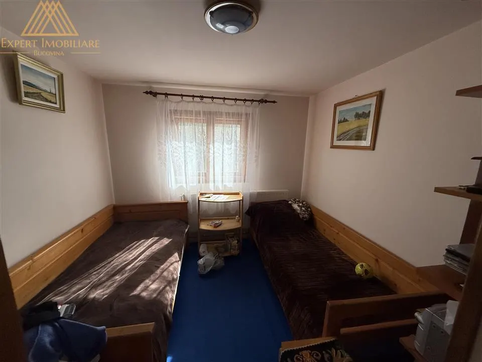Cabana Vanatorului, sursa de apa, lemne, parau pe proprietate, fantana - foto 24