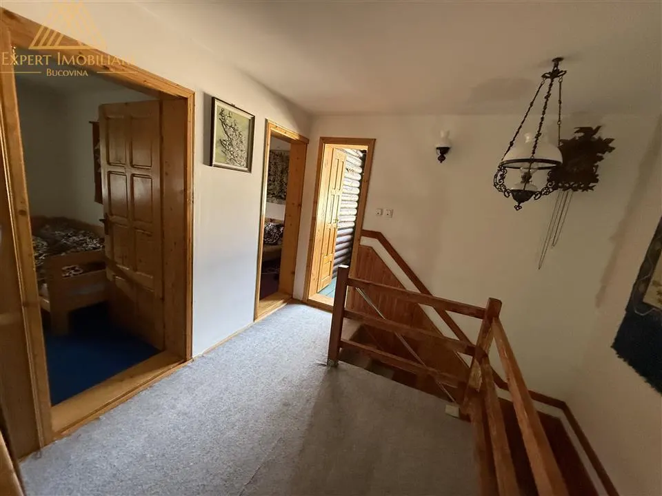 Cabana Vanatorului, sursa de apa, lemne, parau pe proprietate, fantana - foto 25