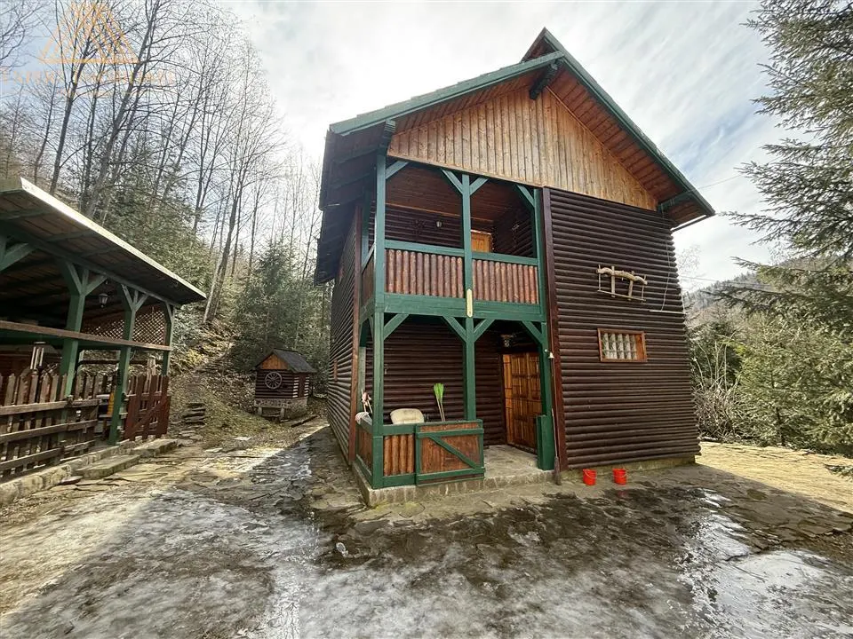 Cabana Vanatorului, sursa de apa, lemne, parau pe proprietate, fantana - foto 4