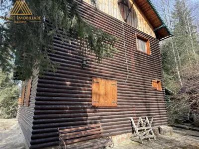 Cabana Vanatorului, sursa de apa, lemne, parau pe proprietate, fantana - foto 5