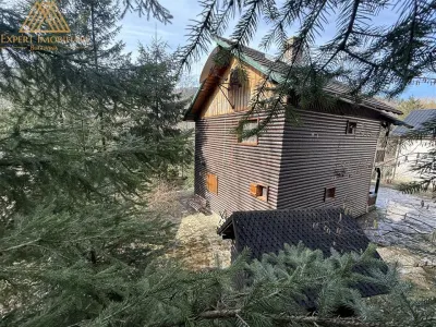 Cabana Vanatorului, sursa de apa, lemne, parau pe proprietate, fantana - foto 6
