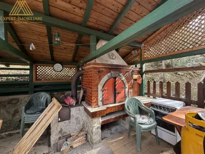 Cabana Vanatorului, sursa de apa, lemne, parau pe proprietate, fantana - foto 10