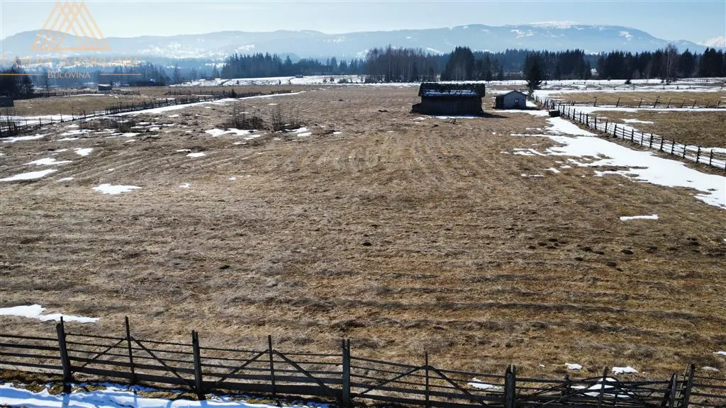 Teren Sarul Dornei 1.5 hectare Curent,  apa curenta, drum de acces - foto 7