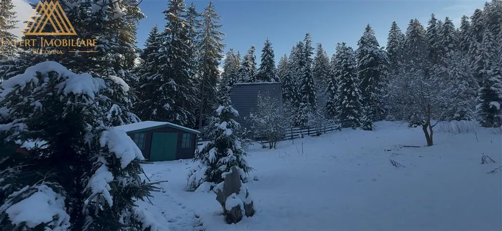 CASA DINTRE BRAZI intr- un taram de poveste - foto 4