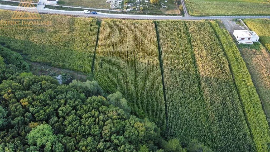 Teren intravilan 4600mp Ipotesti - foto 1