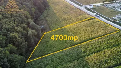 Teren intravilan 4600mp Ipotesti - foto 3
