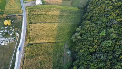 Teren intravilan 4600mp Ipotesti - foto 4